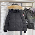 Canada goose